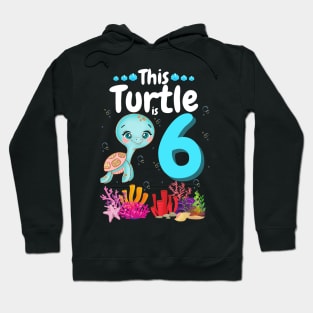 This Turtle Is 6 Years Old, Cute Under Sea Turtle Lover Birthday Girl Gift Hoodie